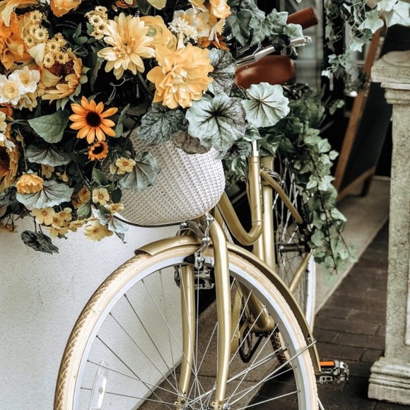 Meet your Posher, Kristy - Picture 1 of 1